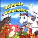 Animăluţele de langă casa omului