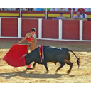 Plaza de Toros din Malaga